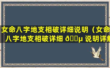 女命八字地支相破详细说明（女命八字地支相破详细 🐵 说明详解）